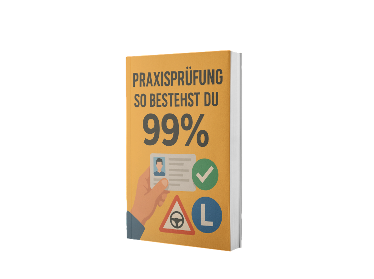 Praxisprüfung (E-Book)
